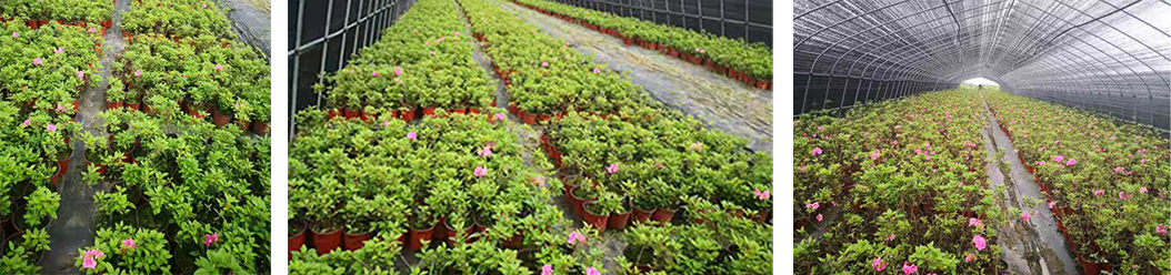 (圖1) 1-220415160444160.jpg