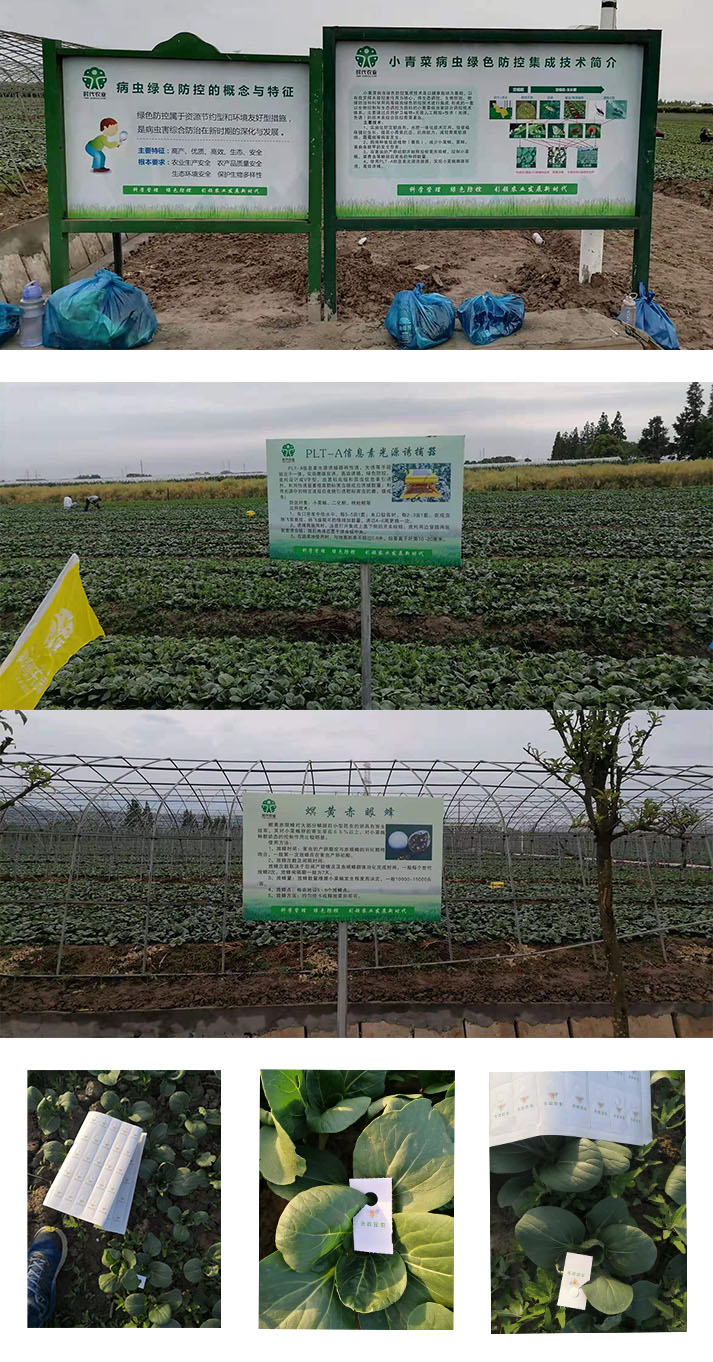 綠色防控(圖3) 1-2204161019115Z.jpg