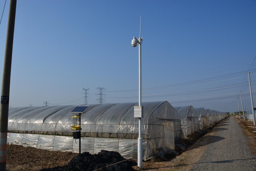 智慧農業(圖3) 1-2204221R01LY.jpg