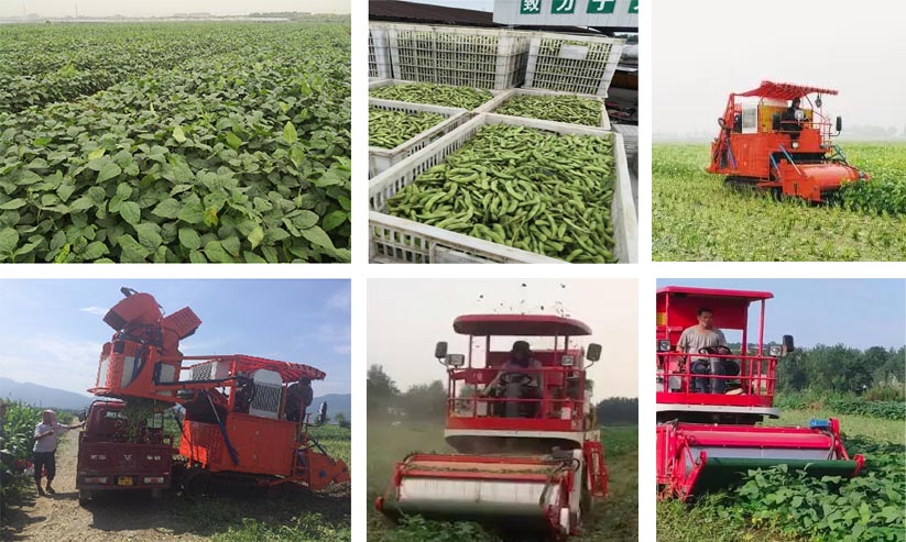 (圖3) 1-220426154540R5.jpg